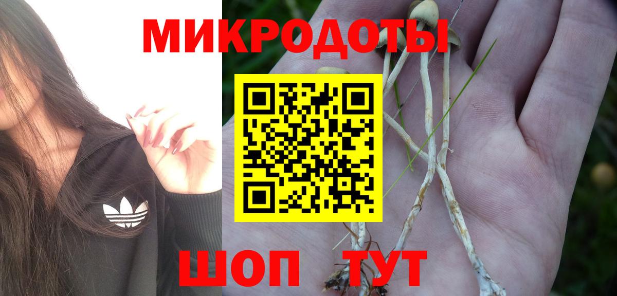Псилоцибиновые грибы Magic Shrooms Полысаево